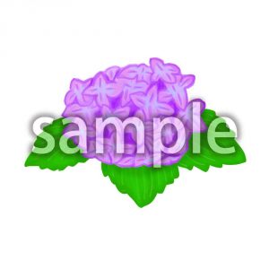 あじさいの画像