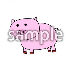 豚の画像