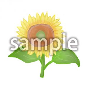 ひまわりの画像