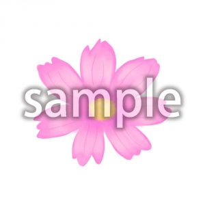 コスモスの画像