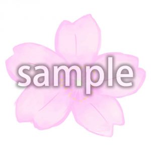 さくらの画像