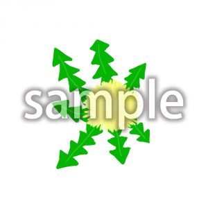 タンポポの画像