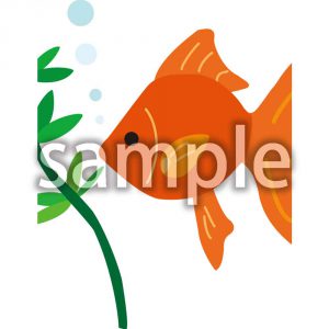 金魚の画像