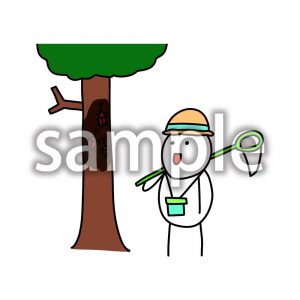 虫観察のデブ助の画像