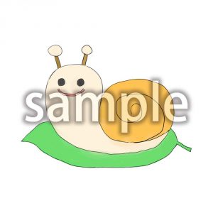 かたつむりの画像