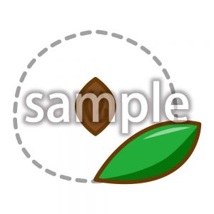 ももの種の画像