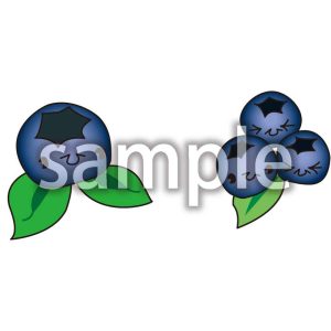 ブルーベリーの画像