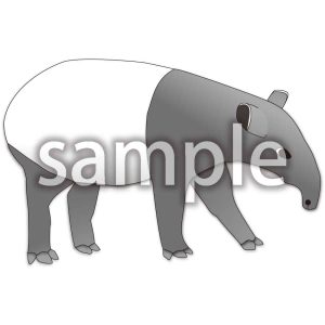 マレーバクの画像