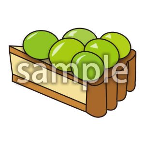 マスカットタルトの画像