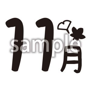 11月_2の画像