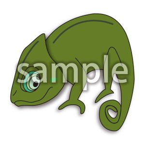 カメレオンの画像