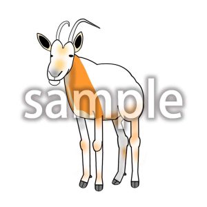 シロオリックスの画像