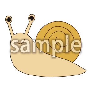 かたつむりの画像