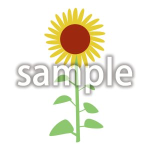 ひまわり2の画像
