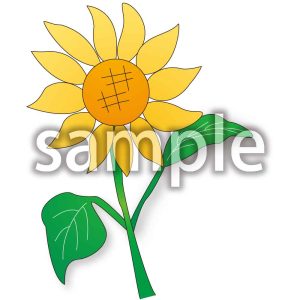 ひまわりの画像