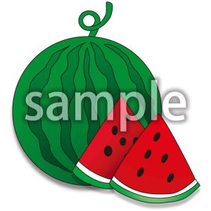 スイカの画像