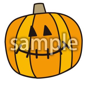 カボチャ②の画像