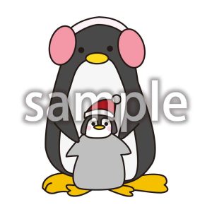 ペンギン親子の画像