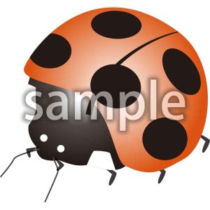 てんとう虫の画像