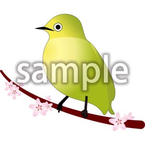 うぐいすの画像