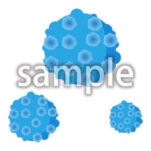 ノロウイルスの画像