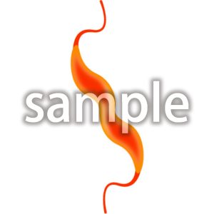 カンピロバクターの画像