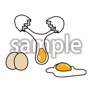 卵の画像