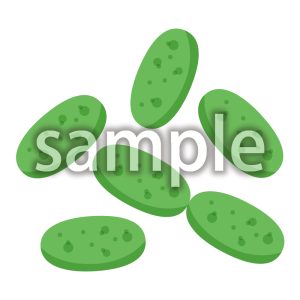 エルシニア・エンテロコリチカの画像