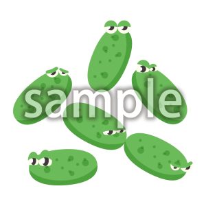 キャラクター_エルシニア・エンテロコリチカの画像