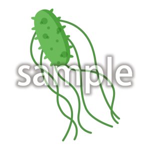 サルモネラ菌の画像