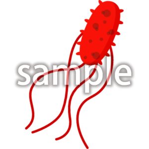 腸管出血性大腸菌o157の画像