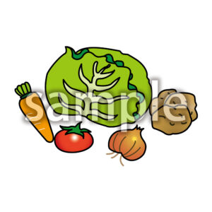 野菜類の画像