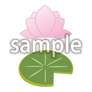 蓮の画像
