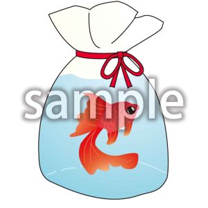 金魚すくいの画像