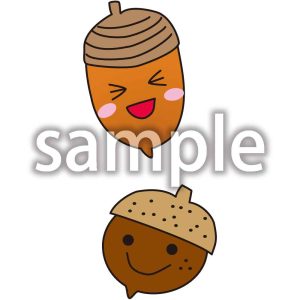 どんぐりの画像