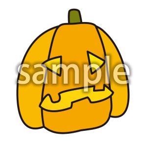 カボチャ③の画像