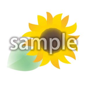 ひまわりの画像