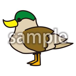 カモの画像