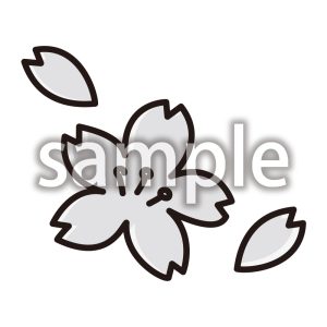 桜_モノクロの画像