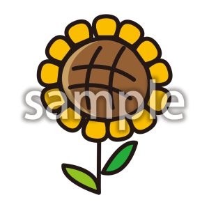 ひまわり_カラーの画像