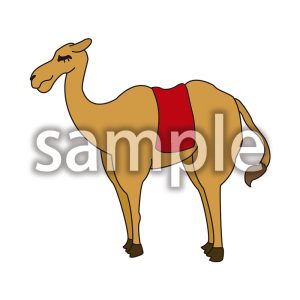 ラクダの画像