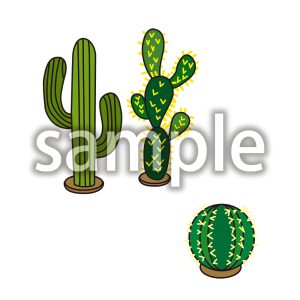 サボテンの画像